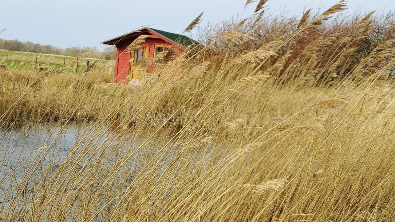 Appartamento Ferien Am Biotop Rodenäs