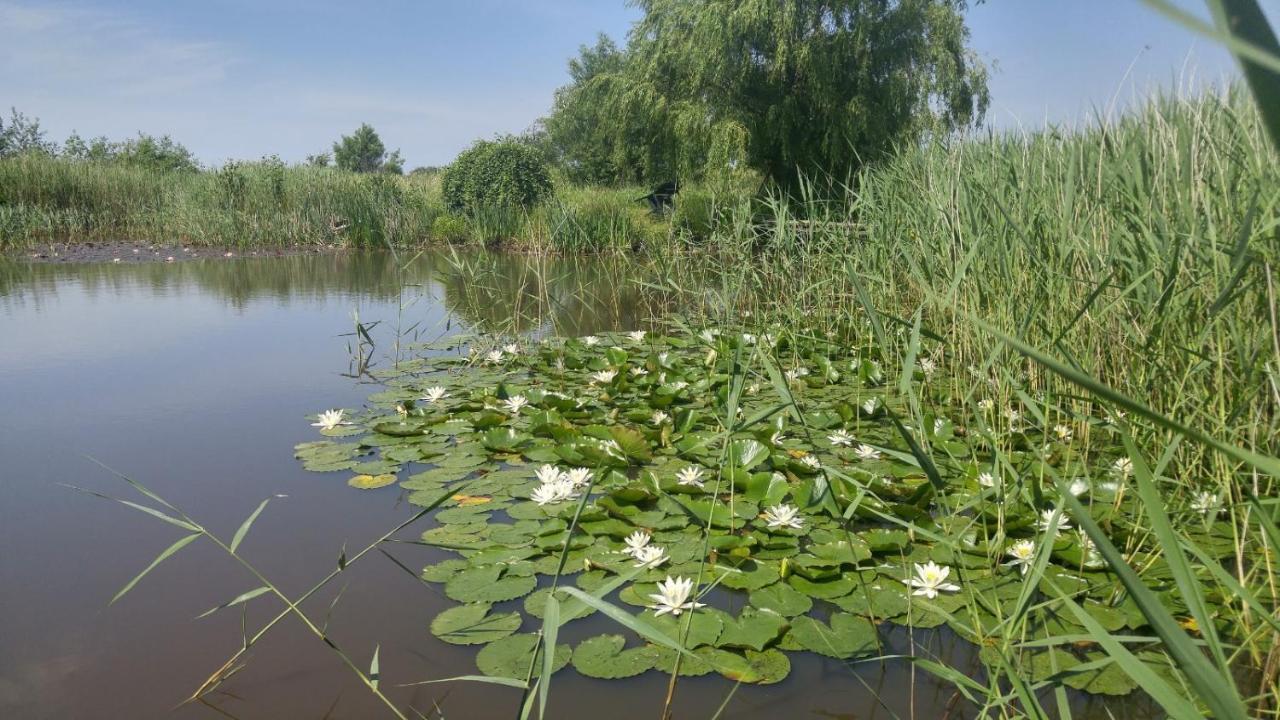 Ferien Am Biotop Rodenäs