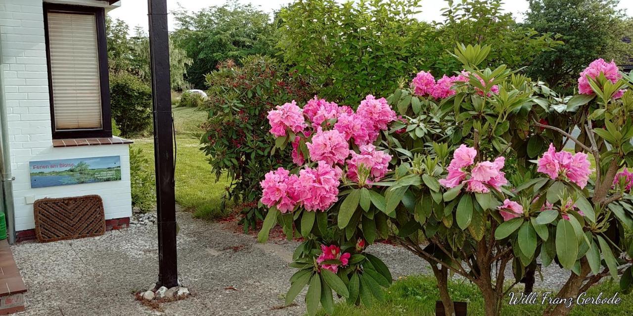 Ferien Am Biotop * Rodenäs